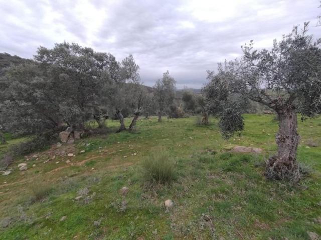 Terreno en venta en Villanueva del Rey, Villanueva del rey photo 0