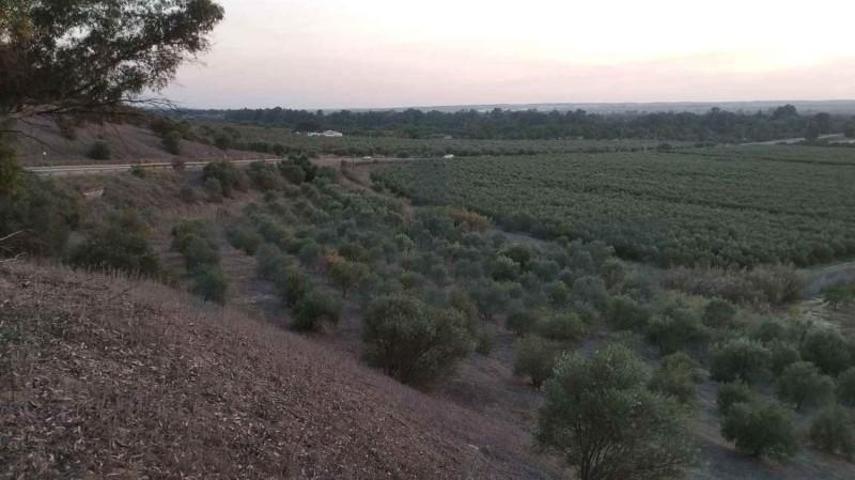 Terreno en venta en Sanlúcar la Mayor, Aljarafe photo 0