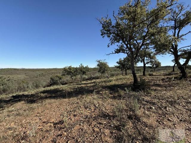 Terreno en venta en Berrocal, BERROCAL photo 0