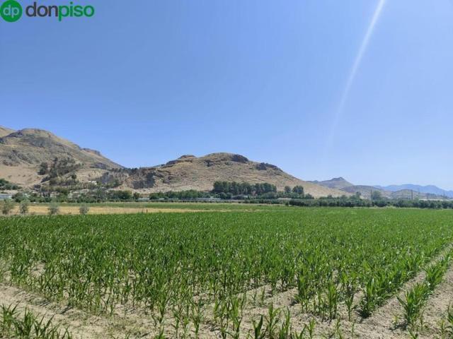 Terreno en venta en Atarfe, Vega de granada zona noroeste photo 0