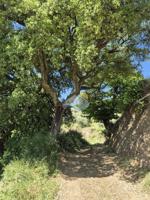 Terreno en venta en Yunquera, Poligono 10, 29410 photo 0