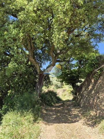 Terreno en venta en Yunquera, Poligono 10, 29410 photo 0