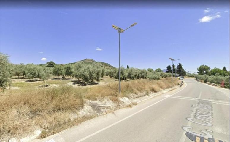 Terreno en venta en Lucena, Lucena photo 0