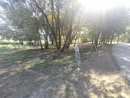 Parcela en venta en Nieves, Galicia photo 0