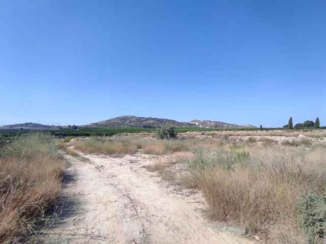 Parcela en venta en Algorfa, Campo de golf photo 0
