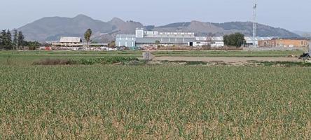 Terreno en venta en Maracena, Centro de Salud photo 0