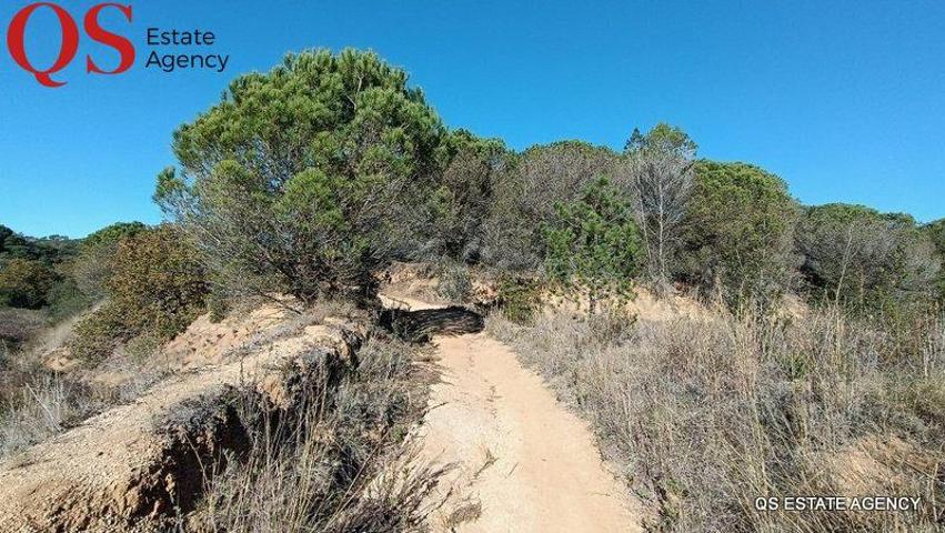 Terreno en venta en Blanes, Valldolig photo 0