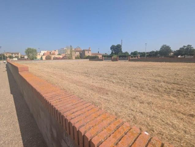 Terreno en venta en Vila-sacra, Vila-sacra photo 0