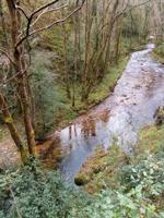 Casa con terreno en venta en Cudillero, Área de Avilés photo 0