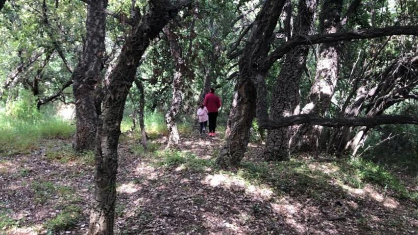 Terreno en venta en Estepona, Loma De La Pontezuela photo 0