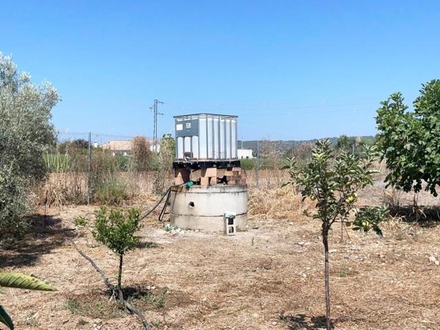 Parcela en venta en Córdoba, Andalucia photo 0