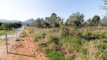 Terreno en venta en Denia photo 0