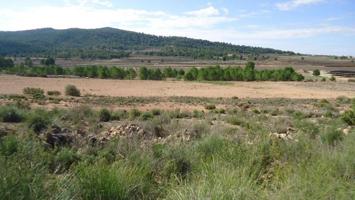 Parcela en venta en Monovar-Monover, Comunidad valenciana photo 0