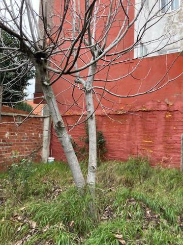 Terreno en venta en Arroyo de la Encomienda, La Flecha - Monasterio del Prado photo 0