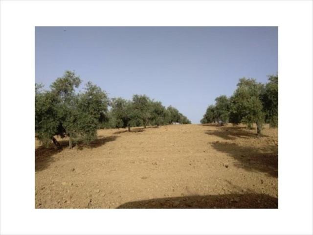 Terreno en venta en Lucena, Lucena photo 0