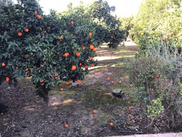 Terreno en venta en Córdoba, Villarrubia photo 0