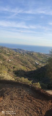 Parcela en venta en Sayalonga, Campo photo 0