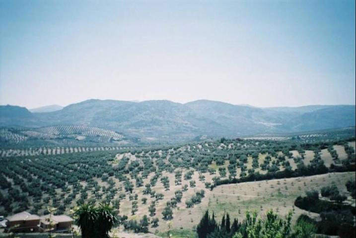 Terreno en venta en Baena, Zona Zambudio photo 0
