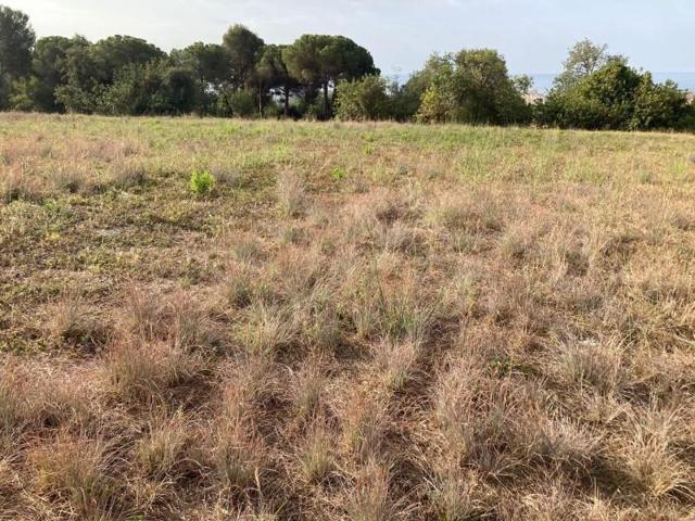 Terreno en venta en Pineda de Mar, Urbanización montesol photo 0