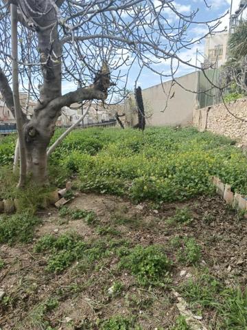 Casa en venta en Aspe, Aspe photo 0