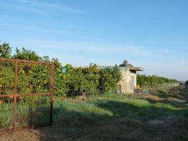 Terreno en venta en Oliva, A las afueras photo 0