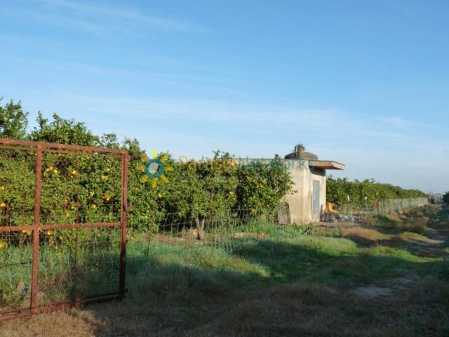Terreno en venta en Oliva, A las afueras photo 0