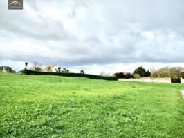 Terreno en venta en Ajo, Barrio la pena photo 0