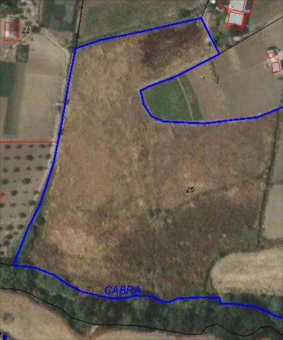 Terreno en venta en Cabra, Cabra photo 0