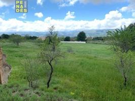 Parcela en venta en Ontinyent, Pla De Chirivia photo 0