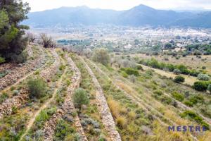 Terreno en venta en Jalon-Xalo, Montaña photo 0