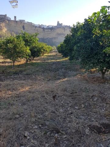 Terreno en venta en Arcos de la Frontera, Carretera arcos algar photo 0