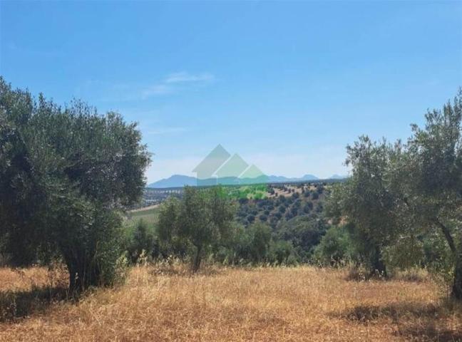 Terreno en venta en Lobón, LOBON photo 0