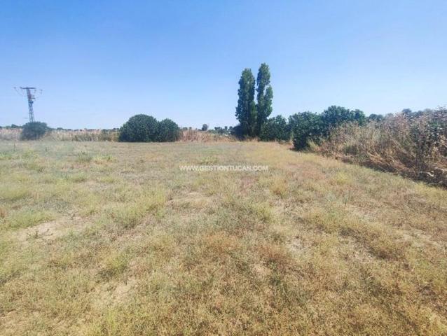 Chalet en venta en La Pueblanueva, La Pueblanueva photo 0