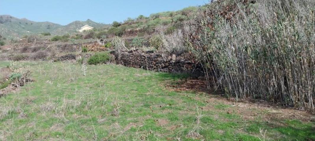 Terreno en venta en La Laguna, Valle Jimenez photo 0