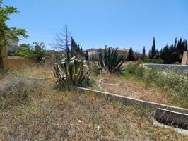Terreno en venta en Cortes de Baza, Camino de Cortes de Baza, 18814 photo 0