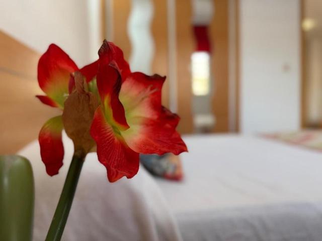 Apartamento en venta en Torrevieja, El Molino photo 0