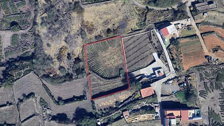 Terreno en venta en Los Realejos, Montaña-Zamora-Cruz Santa-Palo Blanco photo 0