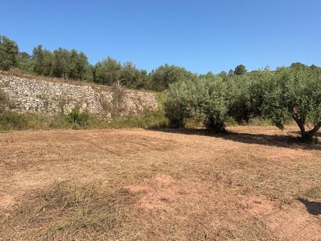 Terreno en venta en la Pobla de Montornès, Cataluña photo 0