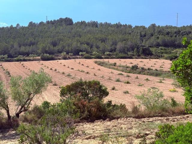 Terreno en venta en Vespella de Gaia, Vespella de Gaià photo 0