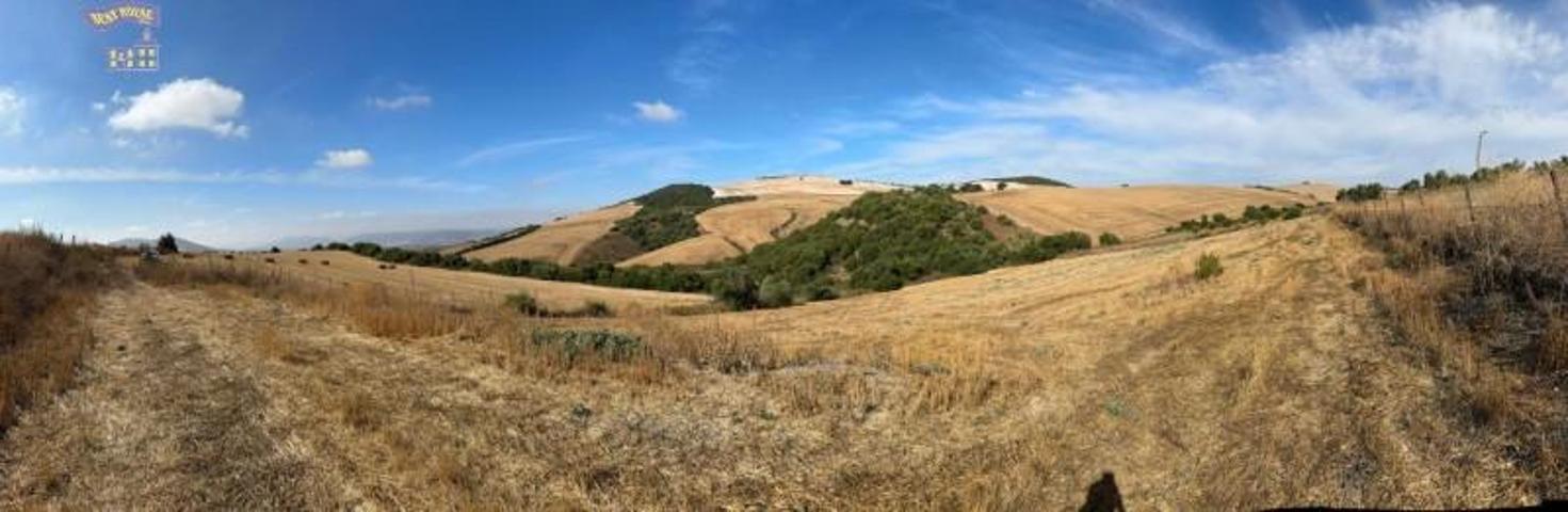 Terreno en venta en Arcos de la Frontera, Carretera arcos algar photo 0