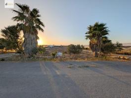 Terreno en venta en Sanlúcar de Barrameda, La Jara photo 0