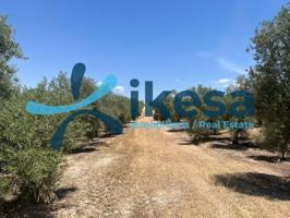 Terreno en venta en Peal de Becerro, Andalucia photo 0