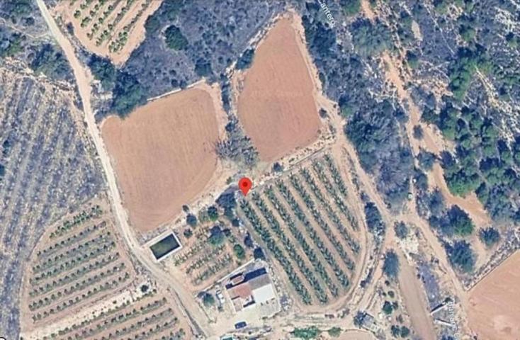 Casa con terreno en venta en Tous, Comunidad valenciana photo 0