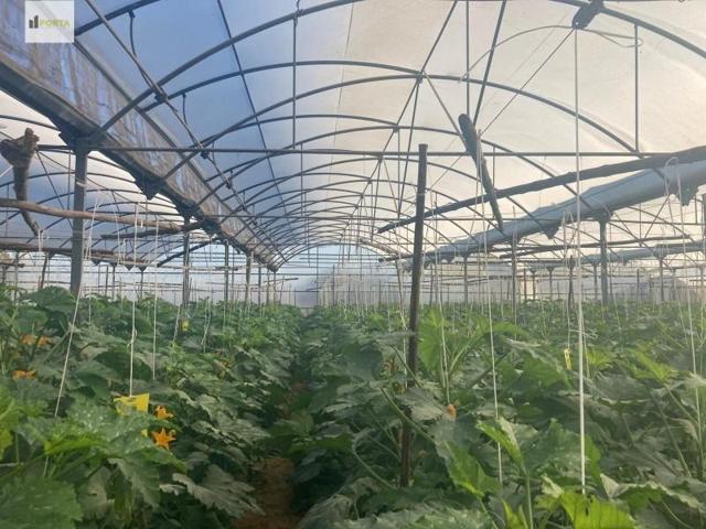 Parcela en venta en Sanlúcar de Barrameda, Sanlúcar de Barrameda photo 0