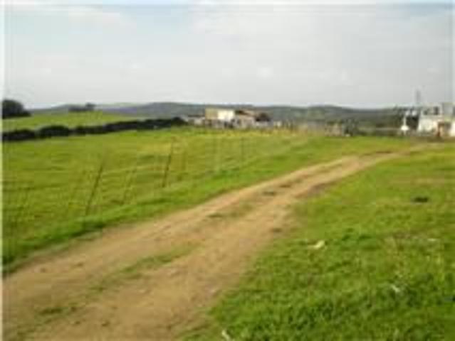 Terreno en venta en Real de la Jara, El Real De La Jara photo 0
