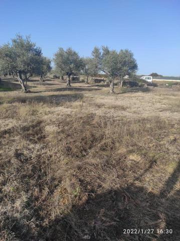 Terreno en venta en Ahigal, Carretera del Guijo, 10650 photo 0