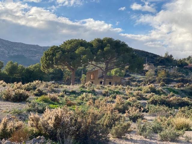 Casa con terreno en venta en Totana, LA HUERTA photo 0