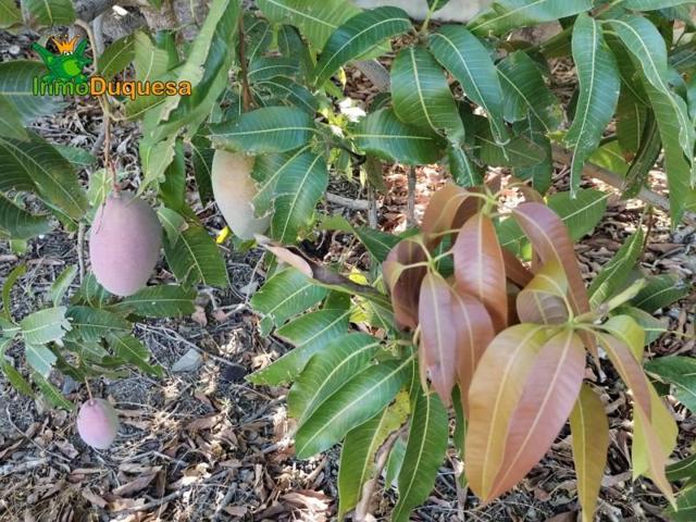 Terreno en venta en Almuñécar, El Rescate - Río Seco photo 0