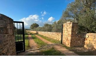 Casa con terreno en venta en Marratxí, Marratxí photo 0