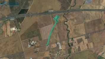 Nave industrial en venta en Trigueros, Andalucia photo 0